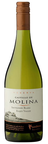 Castillo De Molina<br>Sauvignon Blanc